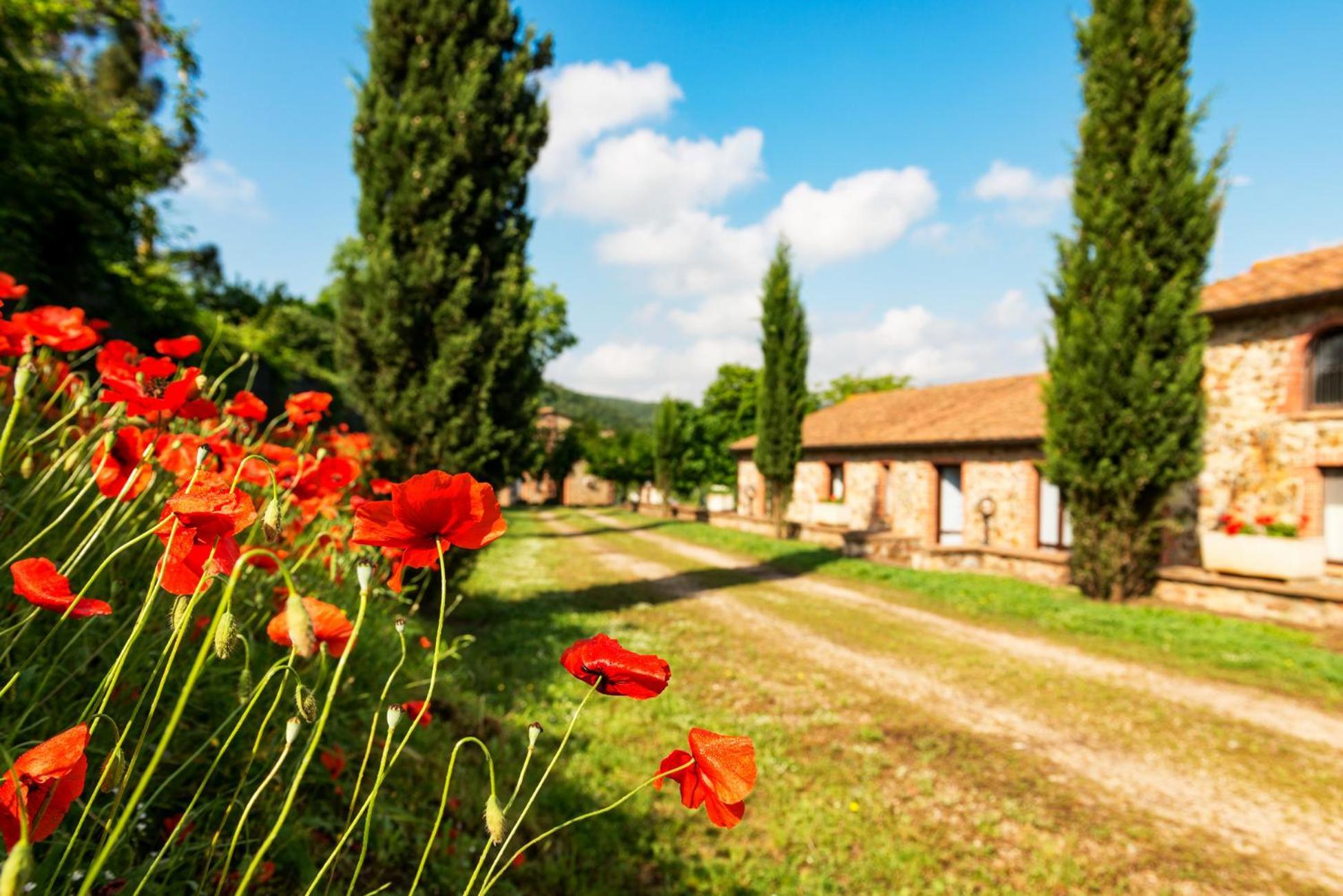 Appartamento Cascatelle&Agriletizia Massa Marittima Esterno foto